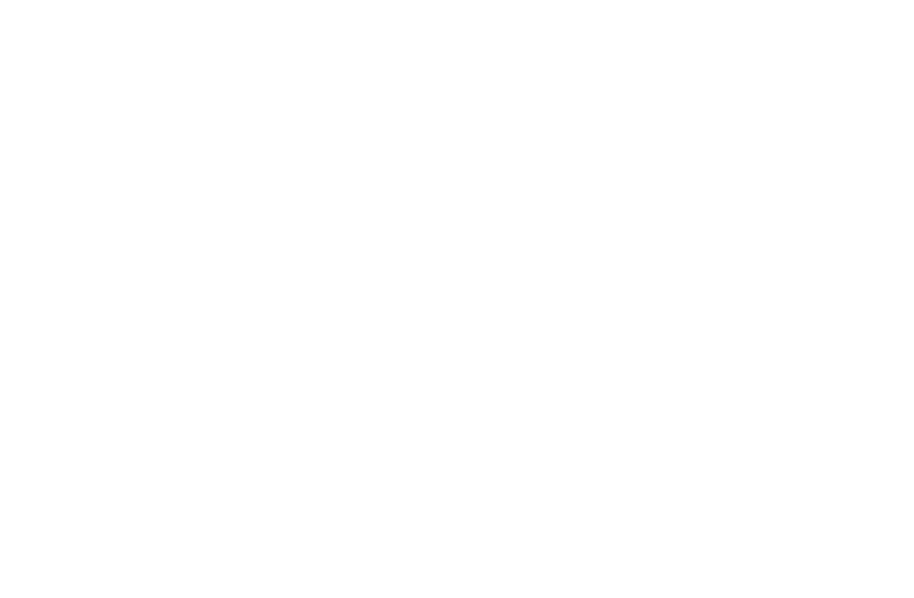 Leo and Bee Logo